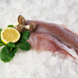 Seelachsfilet, frisch