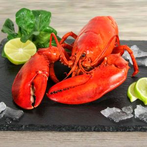 Hummer helgoländisch, gekocht