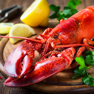 Hummer helgoländisch, gekocht